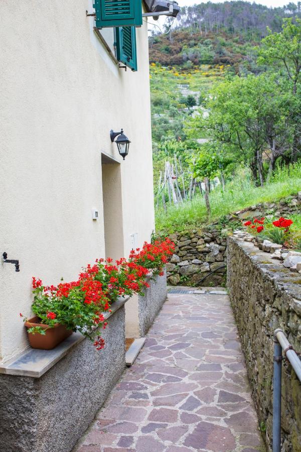 Casa Vacanze Tra Le Mura Λεβάντο Εξωτερικό φωτογραφία