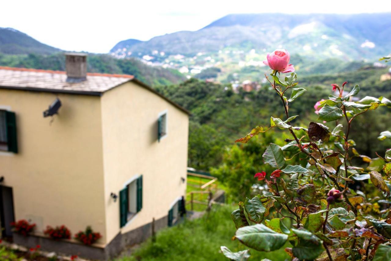 Casa Vacanze Tra Le Mura Λεβάντο Εξωτερικό φωτογραφία